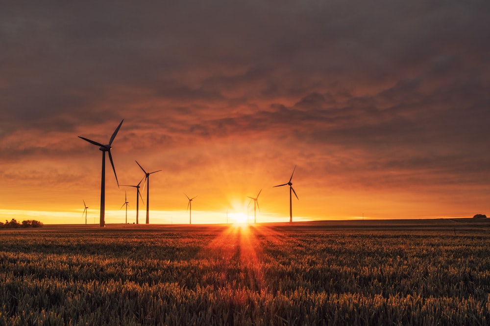 Ökostrom: Günstig und klimafreundlich wechseln
